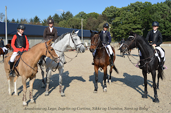 D-stevne Rogaland Rideklubb 24-25. September 2016